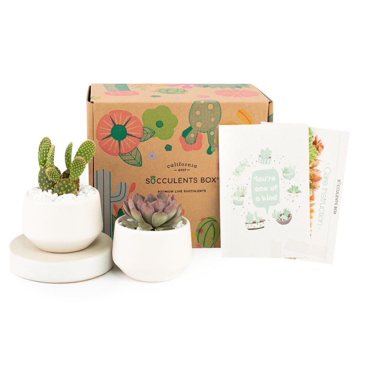 Valentines Day Gifts for Her 2024, Best Valentines Day Ideas for Him, 2024 Valentine&#39;s Day Gifts For Him, Succulent Gifts for Valentine&#39;s Day, Succulents For Valentine&#39;s Day, Succulent Plant Gift Ideas For Valentine&#39;s Day