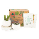 Valentines Day Gifts for Her 2024, Best Valentines Day Ideas for Him, 2024 Valentine&#39;s Day Gifts For Him, Succulent Gifts for Valentine&#39;s Day, Succulents For Valentine&#39;s Day, Succulent Plant Gift Ideas For Valentine&#39;s Day