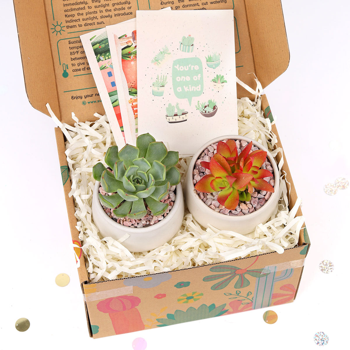 EcoFriendly Succulent Gift Box for Employee, Corporate Gift Succulents For Sale Online, Succulent Thank You Gift Ideas, Thank you gift for your staff in 2022, Customizable Gift Boxes for employees and clients, Office gift for employees, Employee appreciation day 2022 ideas, Succulent Plants for Clients &amp; Employees for sale