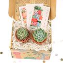 Merry Christmas Stockings Postcard, christmas Postcard 2025, cute design Postcard for plant lovers