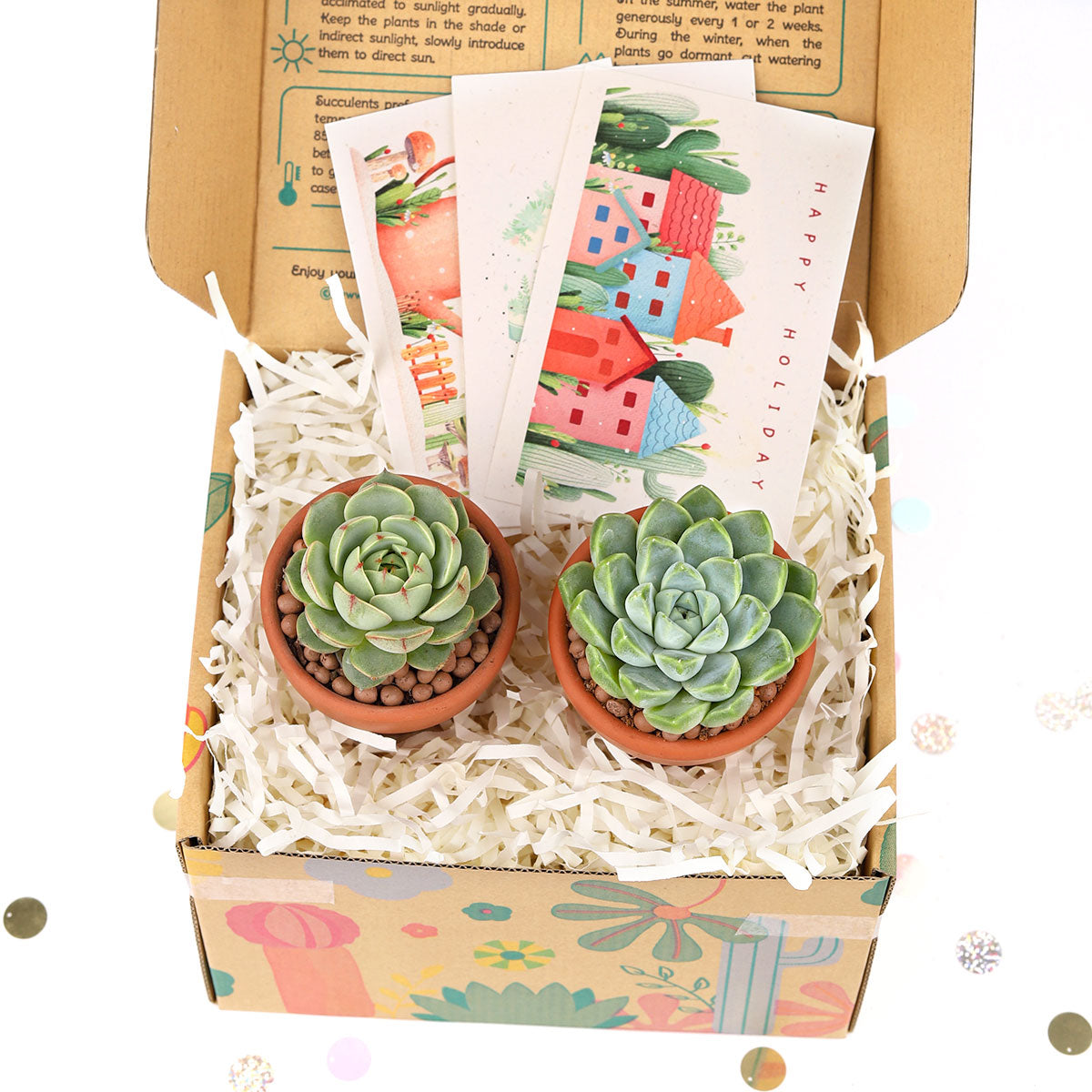 succulents for christmas gifts Unique Christmas Gifts: Succulents Gift Box for your Plant Lovers