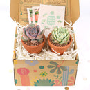 Valentines Day Gifts for Her 2024, Best Valentines Day Ideas for Him, 2024 Valentine&#39;s Day Gifts For Him, Succulent Gifts for Valentine&#39;s Day, Succulents For Valentine&#39;s Day, Succulent Plant Gift Ideas For Valentine&#39;s Day