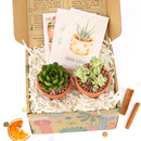 Succulent Christmas Gift Box for Sale, Succulent Holiday Gift Box, Succulent Gift Ideas 2023, Succulent Gift Box for Christmas, Plant in a Box Gift, Christmas Succulents, Christmas Succulent Plants, Succulents for Christmas Ideas in 2023, Succulent Christmas Decorations, Succulent Christmas Gift Ideas, Christmas Gift Ideas for Succulent Lovers, Holiday Succulent Planter, Holiday Decorating with Succulents
