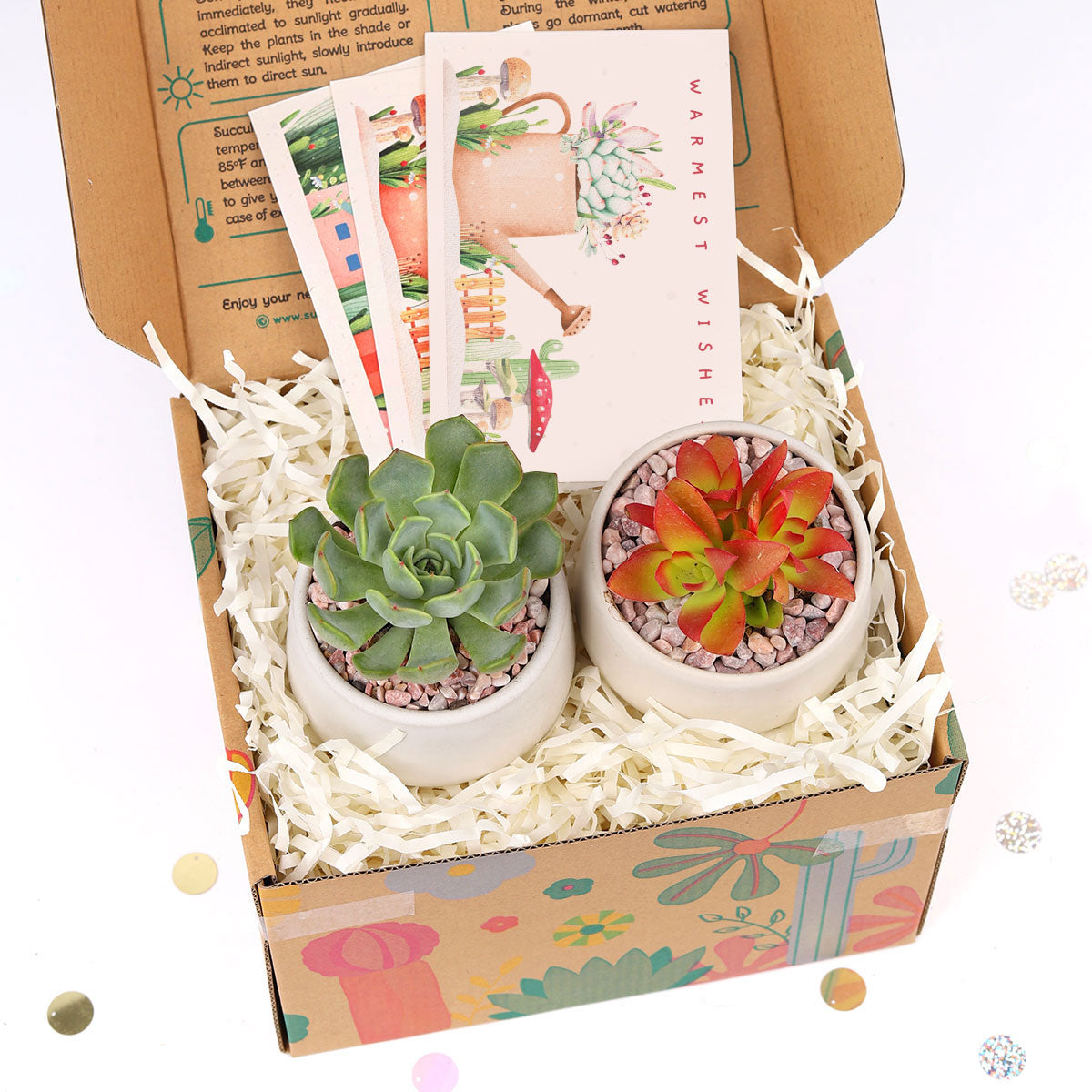 EcoFriendly Succulent Gift Box for Employee, Corporate Gift Succulents For Sale Online, Succulent Thank You Gift Ideas, Thank you gift for your staff in 2022, Customizable Gift Boxes for employees and clients, Office gift for employees, Employee appreciation day 2022 ideas, Succulent Plants for Clients &amp; Employees for sale