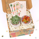 EcoFriendly Succulent Gift Box for Employee, Corporate Gift Succulents For Sale Online, Succulent Thank You Gift Ideas, Thank you gift for your staff in 2022, Customizable Gift Boxes for employees and clients, Office gift for employees, Employee appreciation day 2022 ideas, Succulent Plants for Clients &amp; Employees for sale