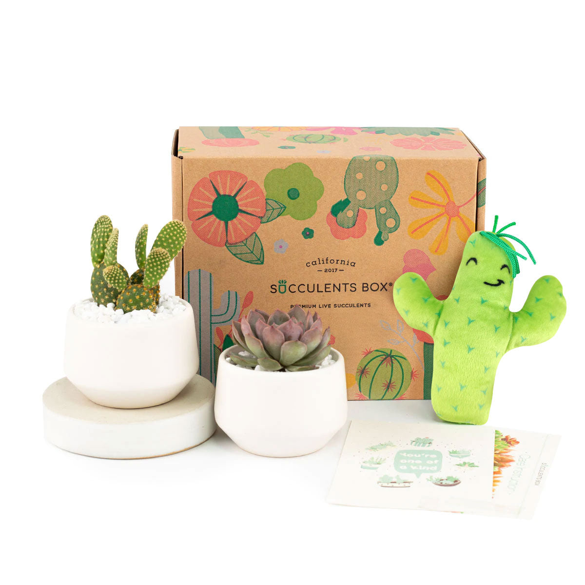 EcoFriendly Succulent Gift Box for Employee, Corporate Gift Succulents For Sale Online, Succulent Thank You Gift Ideas, Thank you gift for your staff in 2023, Customizable Gift Boxes for employees and clients, Office gift for employees, Employee appreciation day 2023 ideas, Succulent Plants for Clients &amp; Employees for sale