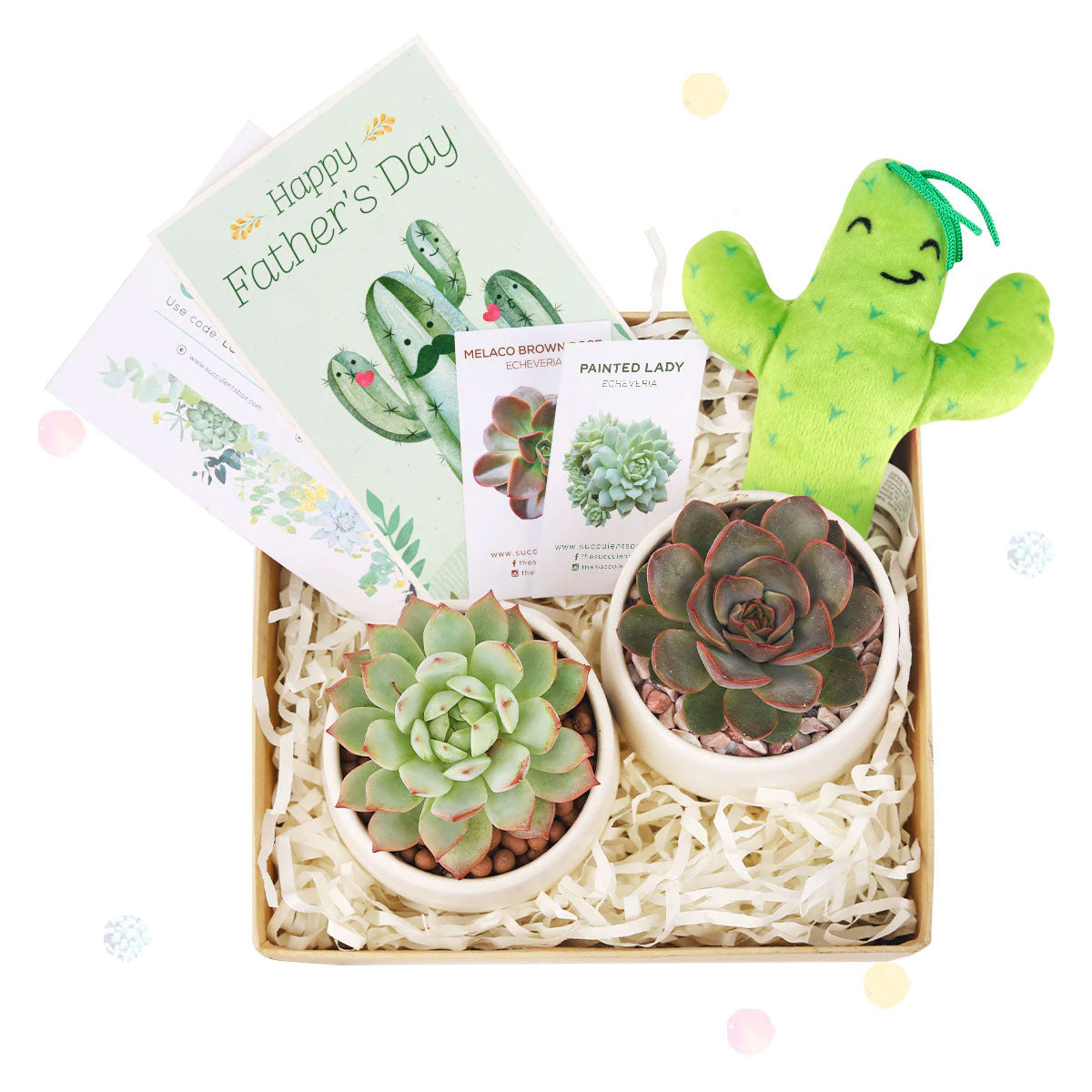 Father&#39;s Day Gift Box, Father&#39;s Day Gift Box Ideas, Plant Dad Gifts, Gifts for Dad, Father&#39;s Day Gifts Delivery 2023, Plant Gifts for Men, Happy Father&#39;s Day Gift, Succulent Gift for Men, Thank You Gift Dad, Appreciation Gift for Dad