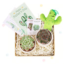 cute holiday cards, modern holiday cards, holiday cards 2025, holiday cards sale