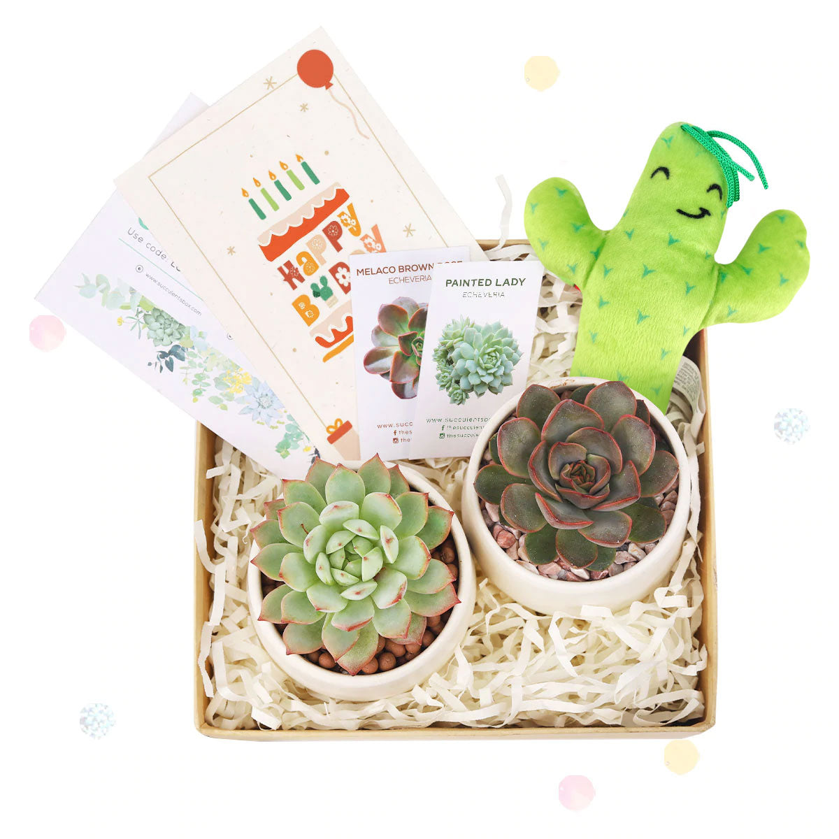 EcoFriendly Succulent Gift Box for Employee, Corporate Gift Succulents For Sale Online, Succulent Thank You Gift Ideas, Thank you gift for your staff in 2023, Customizable Gift Boxes for employees and clients, Office gift for employees, Employee appreciation day 2023 ideas, Succulent Plants for Clients &amp; Employees for sale