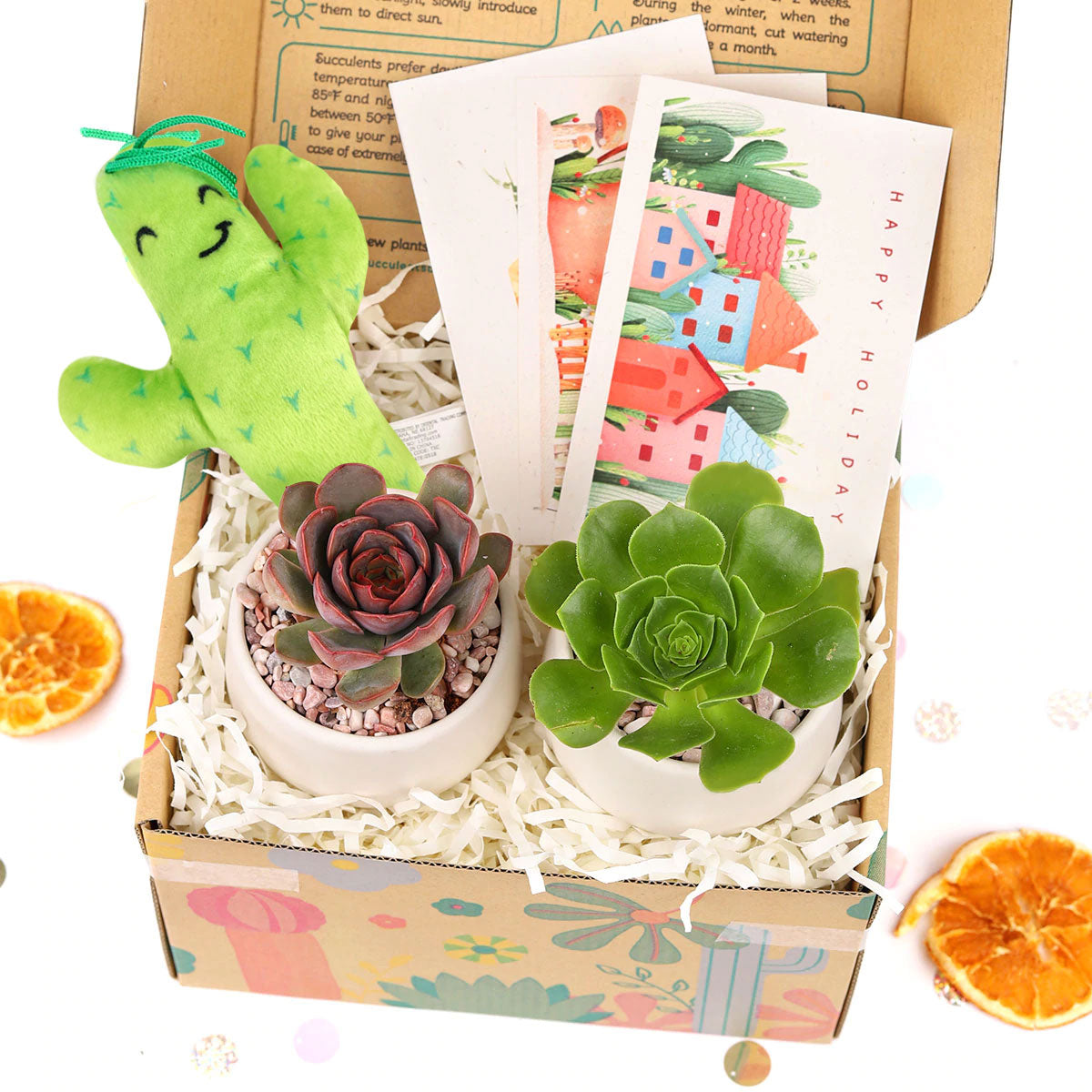 EcoFriendly Succulent Gift Box for Employee, Corporate Gift Succulents For Sale Online, Succulent Thank You Gift Ideas, Thank you gift for your staff in 2023, Customizable Gift Boxes for employees and clients, Office gift for employees, Employee appreciation day 2023 ideas, Succulent Plants for Clients &amp; Employees for sale