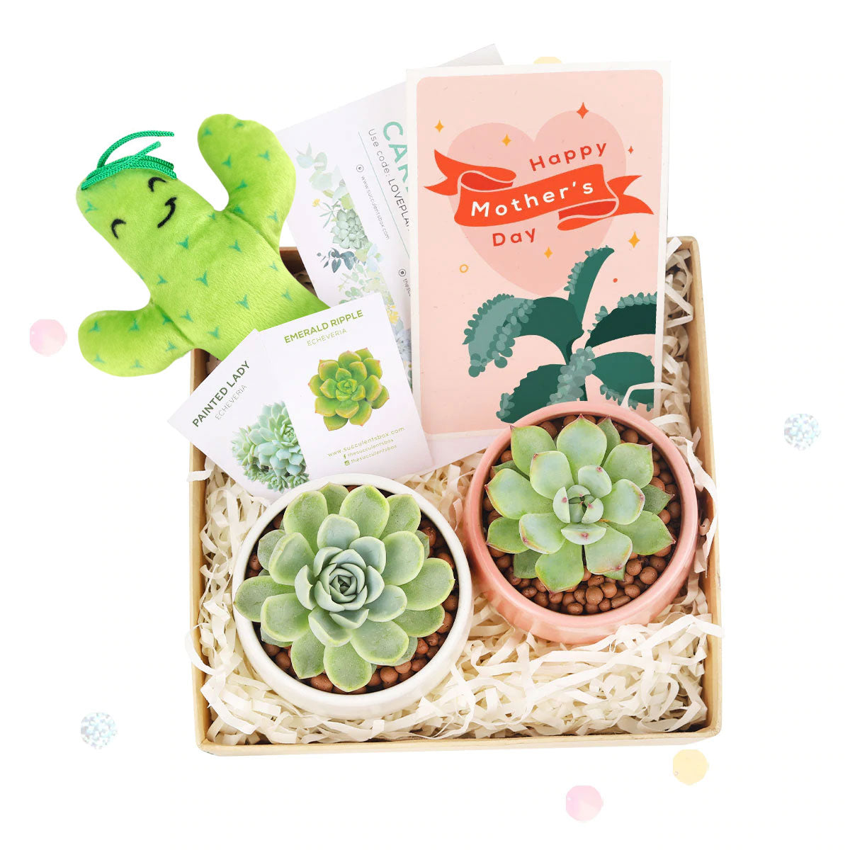 EcoFriendly Succulent Gift Box for Employee, Corporate Gift Succulents For Sale Online, Succulent Thank You Gift Ideas, Thank you gift for your staff in 2023, Customizable Gift Boxes for employees and clients, Office gift for employees, Employee appreciation day 2023 ideas, Succulent Plants for Clients &amp; Employees for sale