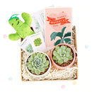 cute holiday cards, modern holiday cards, holiday cards 2025, holiday cards sale