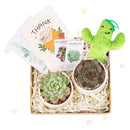 cute holiday cards, modern holiday cards, holiday cards 2025, holiday cards sale