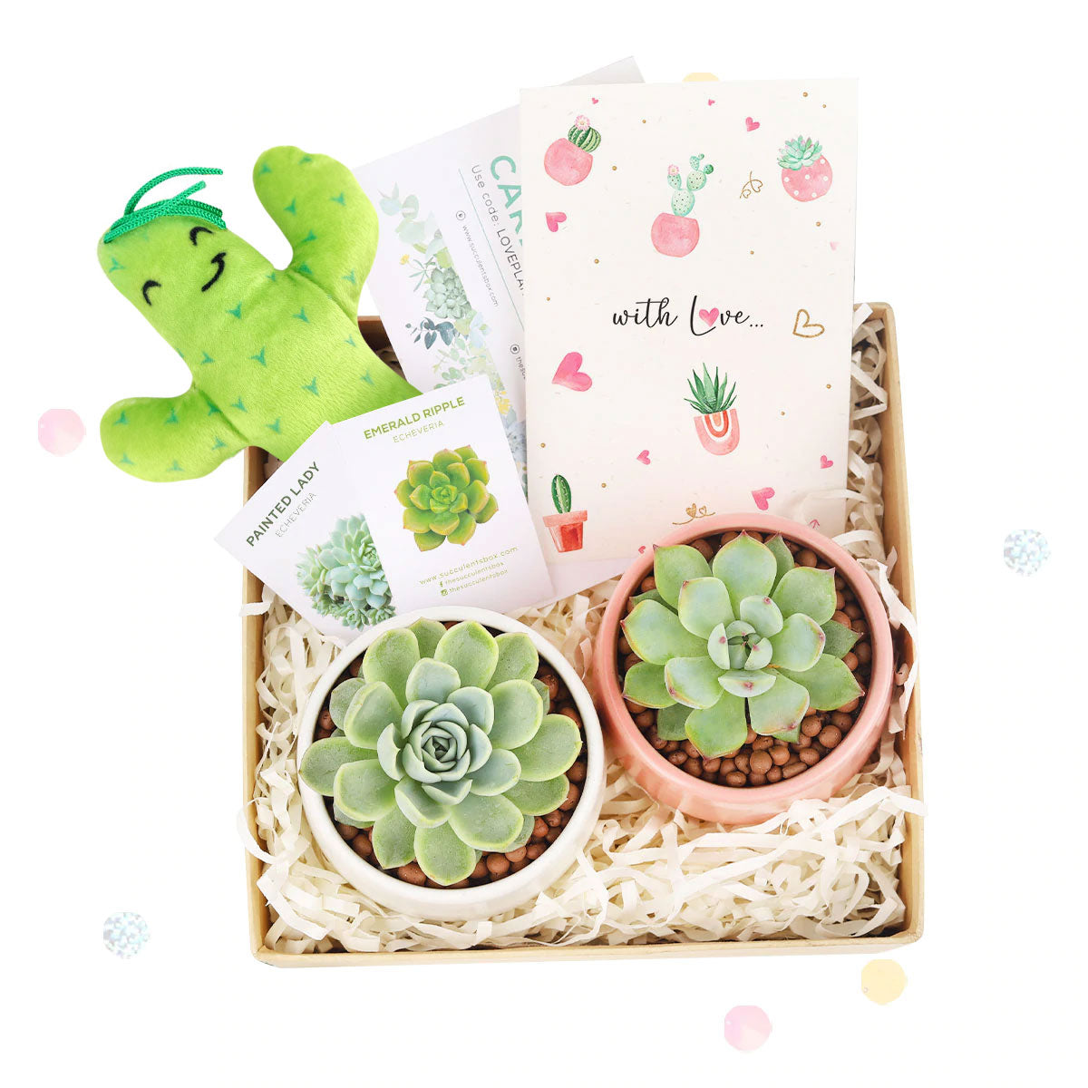 Personalized Valentine Succulent Box, Succulent and Stuffed Cactus Gift for Valentines, Customized Succulent Gift Boxes