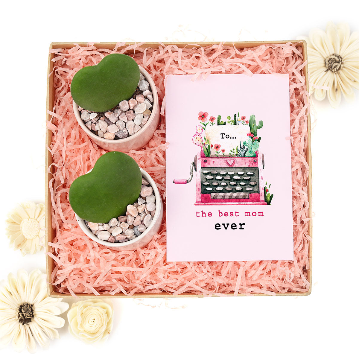 Succulents for mom, Mom&#39;s succulent arrangements, Mother&#39;s day succulent delivery, Succulent gift for mom, Mother&#39;s day gift ideas for wife, Mother&#39;s day gift ideas for grandma, Best gift ideas for mom, Mother&#39;s day gift ideas diy, Mother&#39;s day gift, Gifts for mom 2025