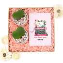 Merry Christmas Stockings Postcard, christmas Postcard 2025, cute design Postcard for plant lovers