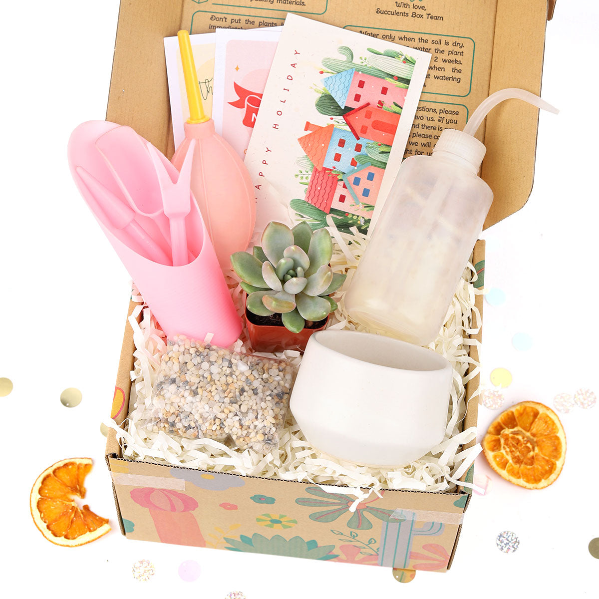 Beginner Kit Gift Box for sale, Succulent Starter Kit, Succulent Kit for Beginner, Best Succulent Gift for Beginner, Succulent Beginner Kit, EcoFriendly Succulent Gift Box for Employee, Corporate Gift Succulents For Sale Online, Succulent Thank You Gift Ideas, Thank you gift for your staff in 2025, Customizable Gift Boxes for employees and clients, Office gift for employees, Employee appreciation day 2025 ideas, Succulent Plants for Clients &amp; Employees for sale