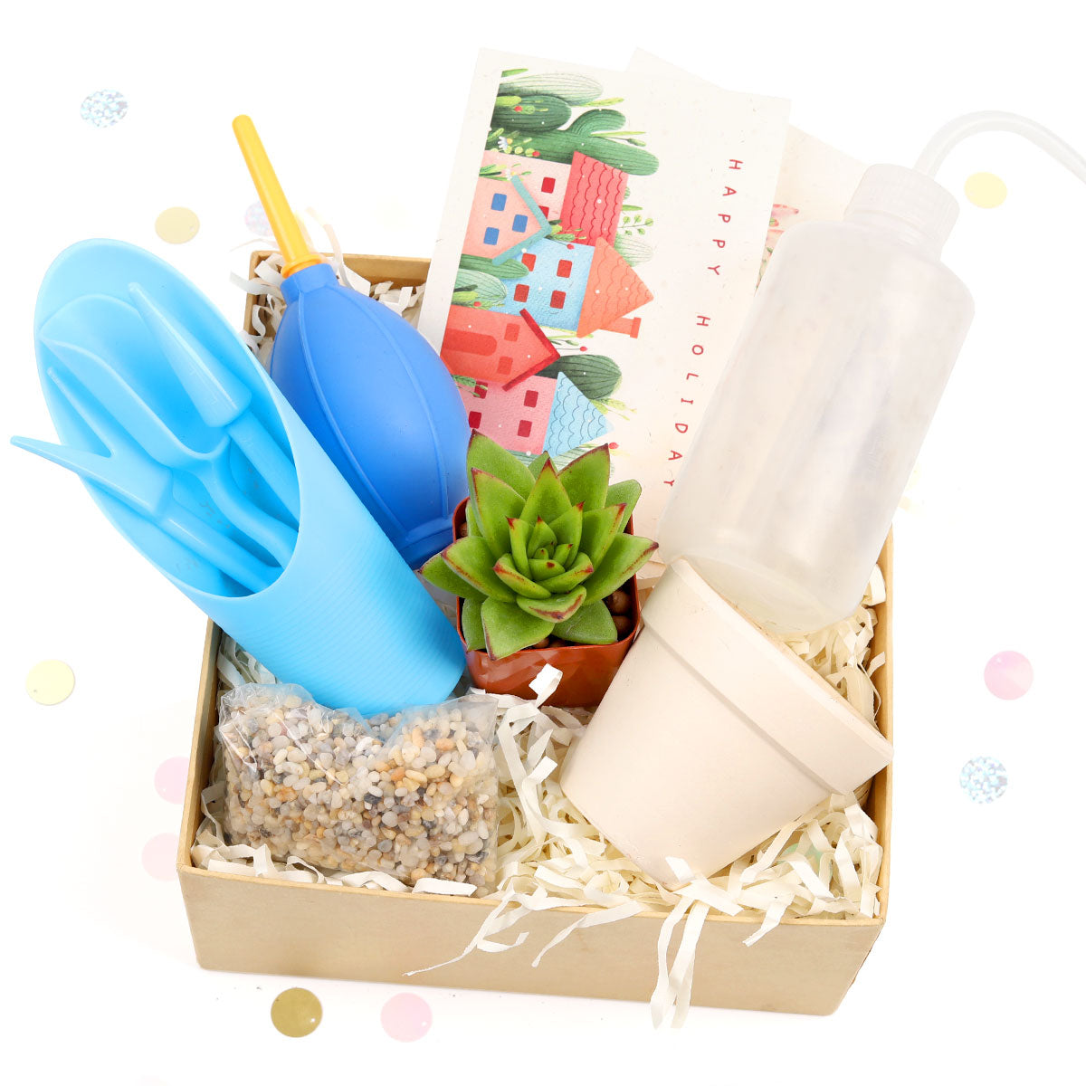 Beginner Kit Gift Box for sale, Succulent Starter Kit, Succulent Kit for Beginner, Best Succulent Gift for Beginner, Succulent Beginner Kit, EcoFriendly Succulent Gift Box for Employee, Corporate Gift Succulents For Sale Online, Succulent Thank You Gift Ideas, Thank you gift for your staff in 2025, Customizable Gift Boxes for employees and clients, Office gift for employees, Employee appreciation day 2025 ideas, Succulent Plants for Clients &amp; Employees for sale