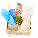 succulent valentine gift, personalized valentine gift, valentine gift near me, valentine gift online, succulents for valentine&#39;s day, valentine&#39;s day succulent gifts, valentine plant ideas 2025