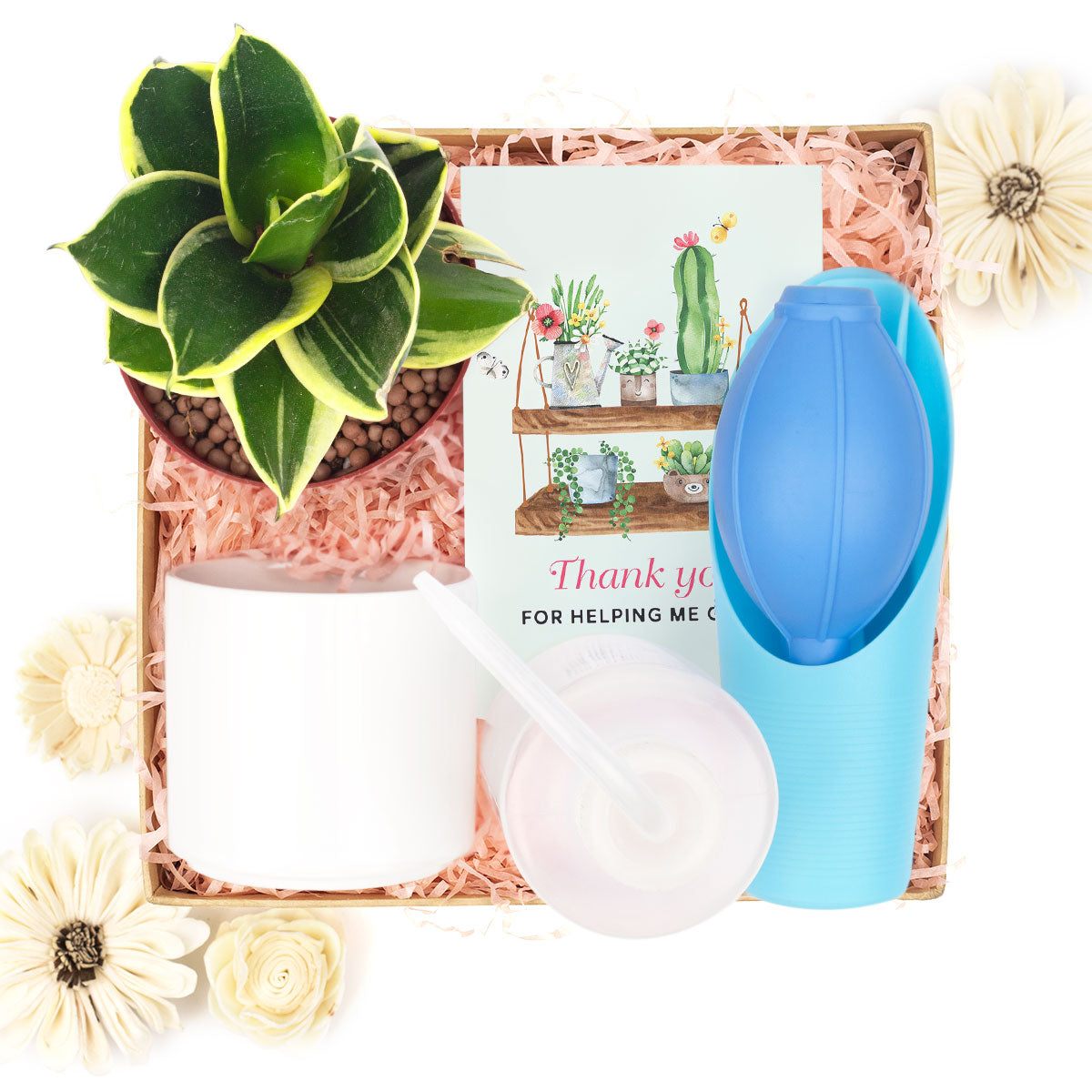 house plant tool kit Houseplant Beginner Kit Gift Box - Easy Care Indoor Plant Starting Kits with Tool