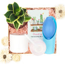 valentine gift for men, best valentine gift for girlfriend, valentine gift boxes, top valentine day gift, valentine gift box ideas, valentine gift delivery, valentine day gift ideas for her, personalized valentine day gift for him, valentine gift boxes for her, unique valentine gift 2025