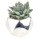 Silver Hexagon Planter