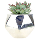 Silver Hexagon Planter