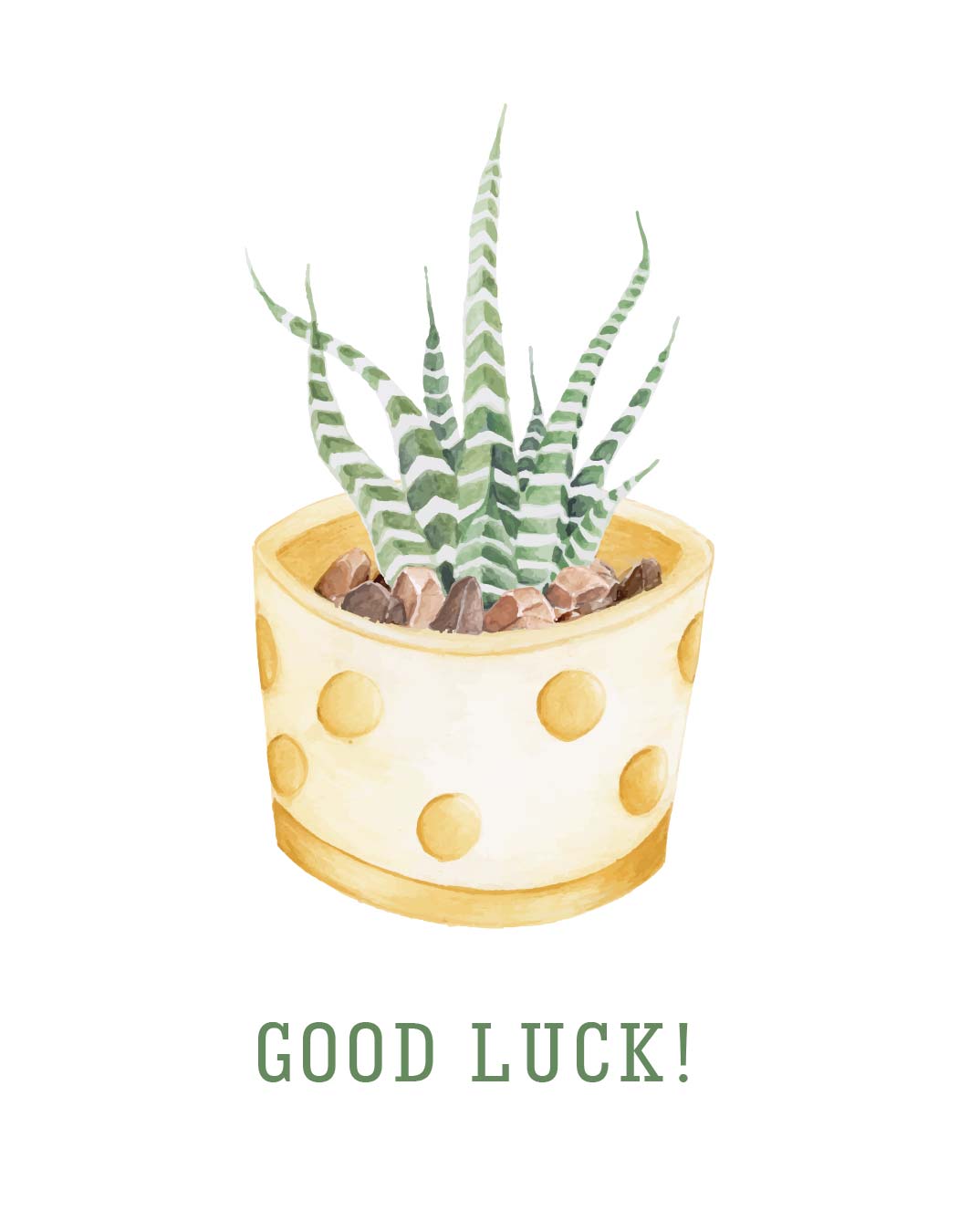 good luck succulent Good Luck Card | Greeting Card | Succulent Gift