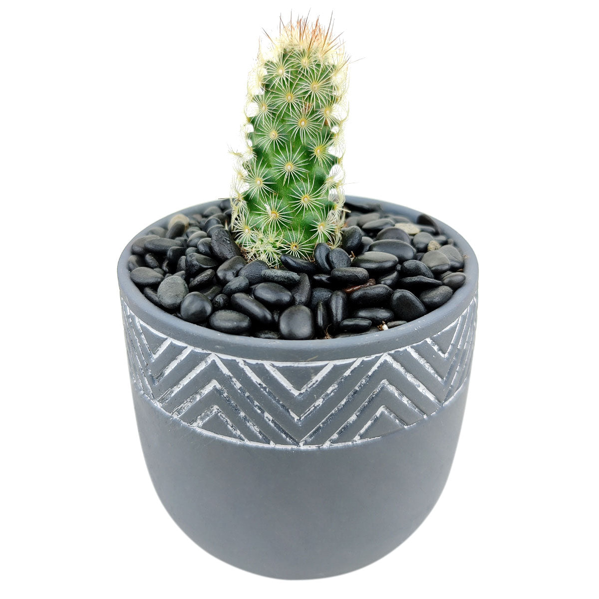 Gray Chevron Planter
