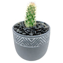 Gray Chevron Planter
