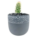 Gray Chevron Planter