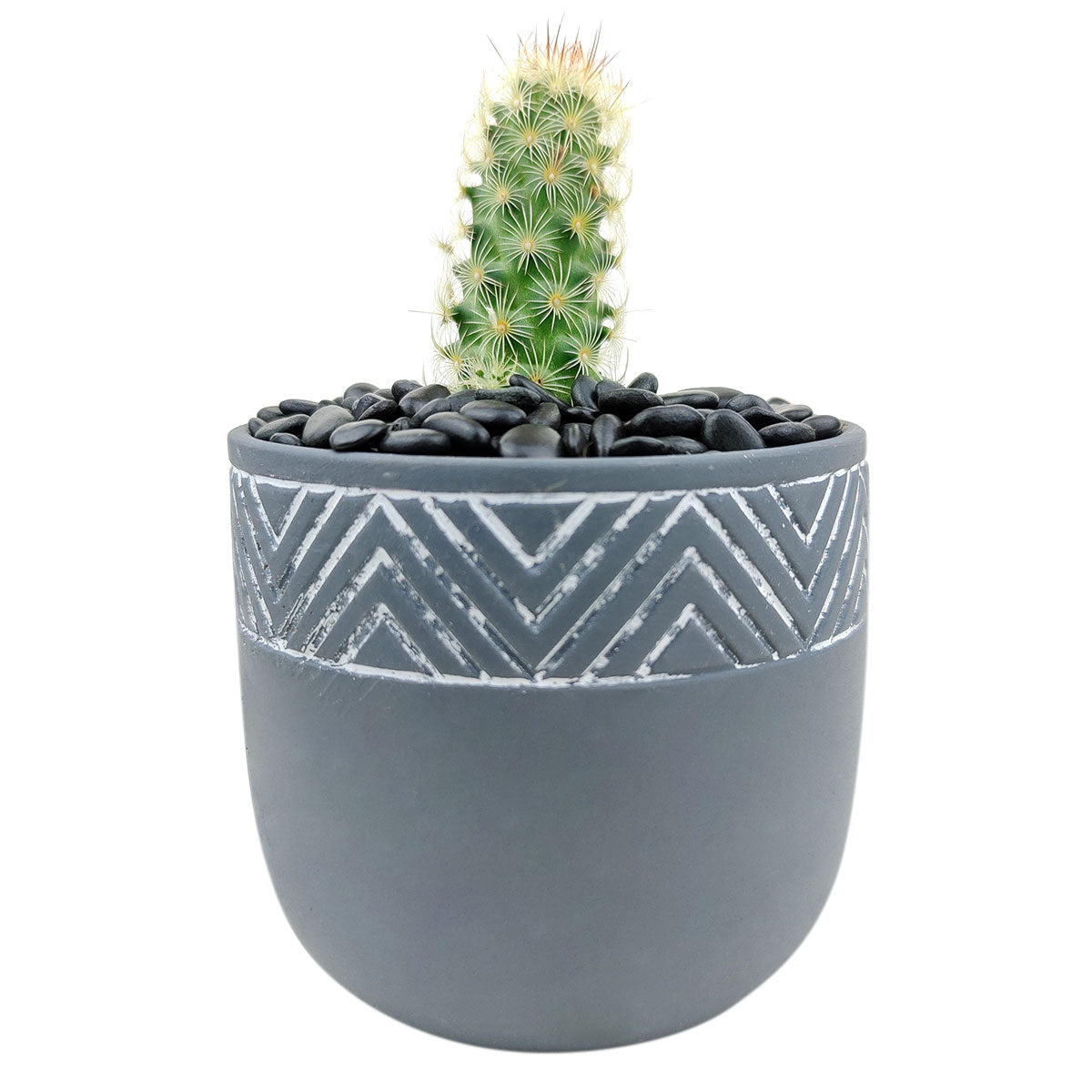 Gray Chevron Pot for sale, ceramic vase for home decor, ceramic succulent and cactus pots for sale, Succulent gift ideas