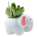Gray Elephant Pot for sale, Cute Ceramic Succulent Pot, Fox Planter Decor, Craft Supplies, Succulent Gift Ideas, Gray Elephant Pot