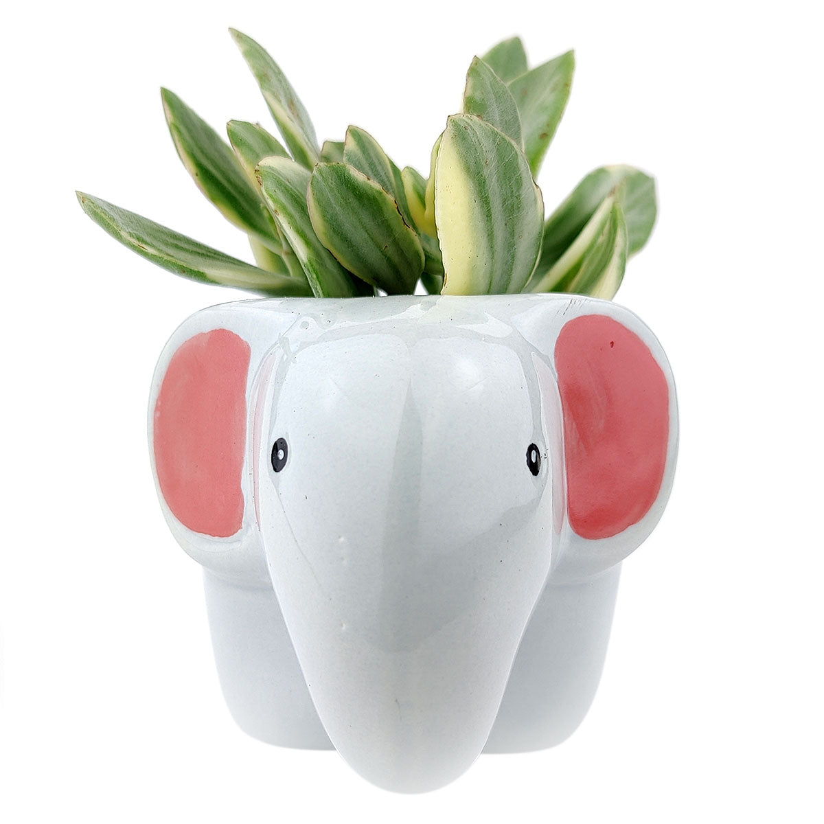 Gray Elephant Pot for sale, Cute Ceramic Succulent Pot, Fox Planter Decor, Craft Supplies, Succulent Gift Ideas, Gray Elephant Pot