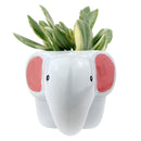 Gray Elephant Pot for sale, Cute Ceramic Succulent Pot, Fox Planter Decor, Craft Supplies, Succulent Gift Ideas, Gray Elephant Pot