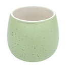 Green Egg Pot for sale, Green Elegant Plain Ceramic Pot for sale, Mini ceramic pot for succulents and cacti, Modern design pot, Succulent and cactus pots for sale, Succulent gift decor ideas, Elegant flower pots