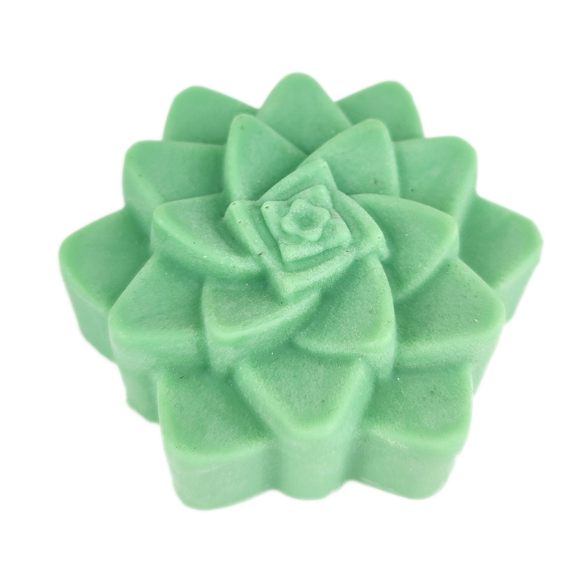 Succulent soap, green rosette succulent soap, organic succulent soap