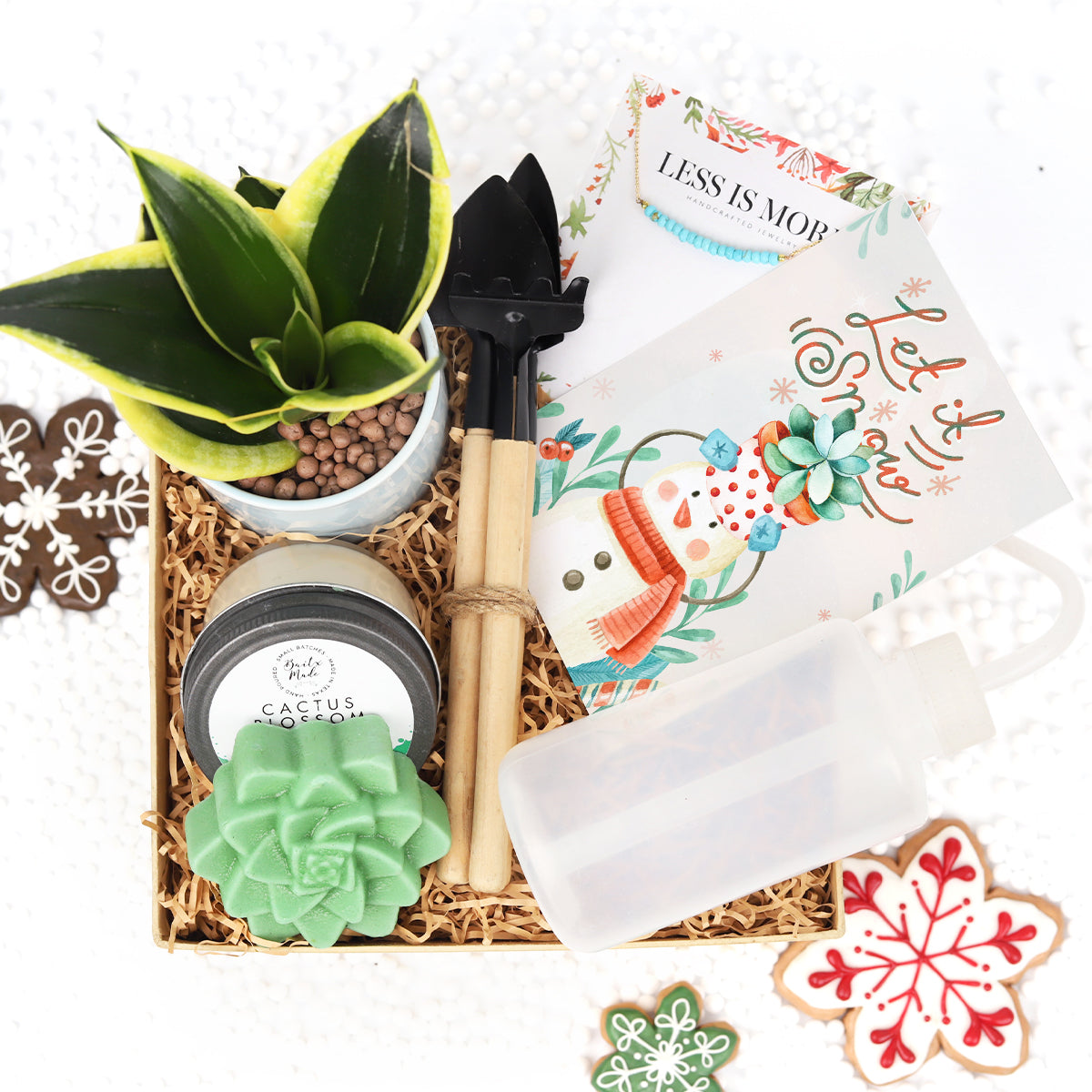 house plant gift set Premium Houseplant Gift Box for Women - Girlfriend Birthday Gift Box Ideas