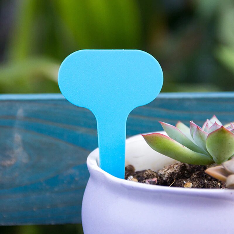 green plastic plant labels Plastic Potted Plants Labels | Multicolor Waterproof Plastic Plant Tags T-Type Markers
