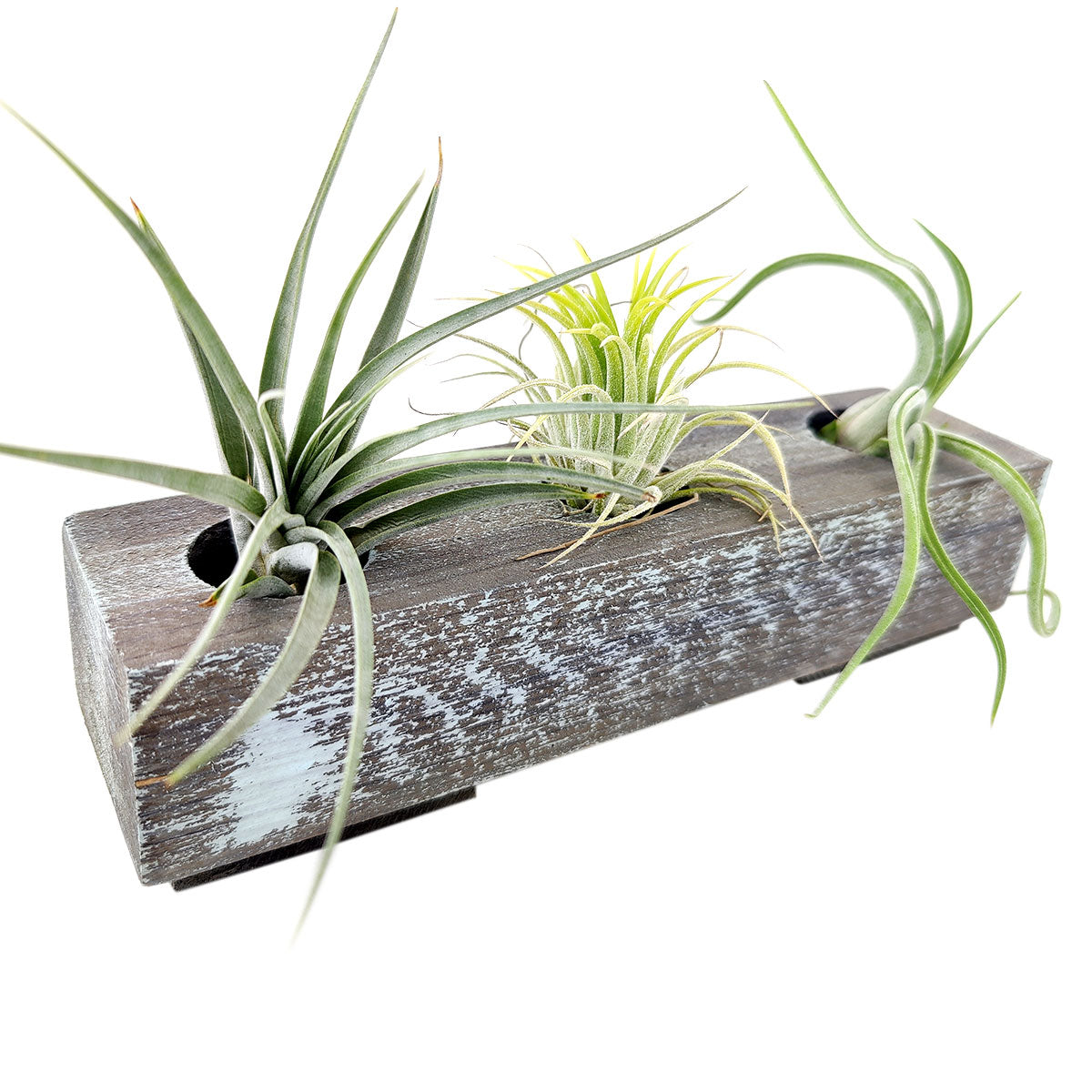 Outdoor Planter Box, Clearance Sale