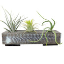 Handcrafted Wooden Planter for sale, Rectangle Wooden Planter, wooden planter boxes, wooden flower pots designs