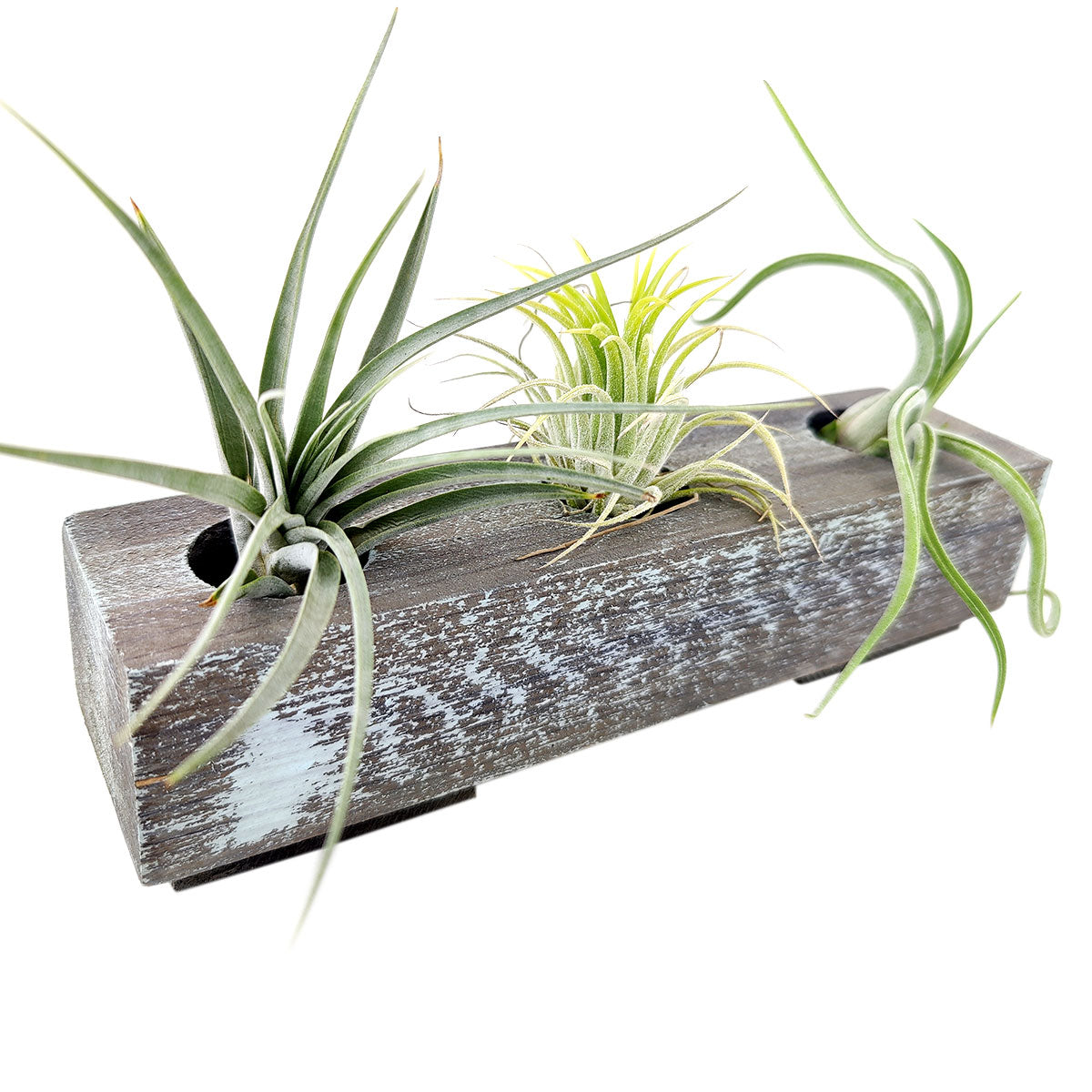 Handcrafted Wooden Planter for sale, Rectangle Wooden Planter, wooden planter boxes, wooden flower pots designs