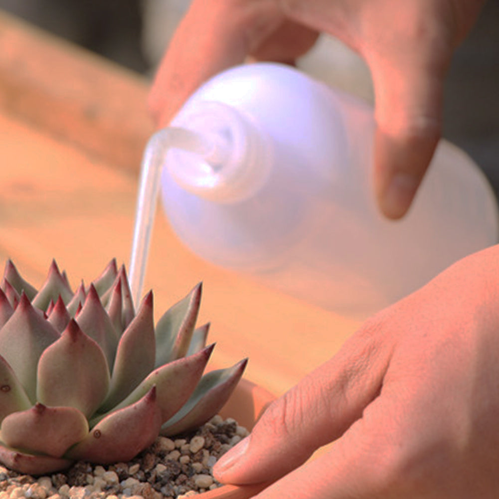 plastic watering bottle, plastic squeeze bottle, wash bottle, succulent watering bottle