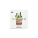 Potted Succulent Stickers Set 45 Pieces for sale, Watercolor Stickers Planner Gift for Friend, Journal Stickers Planner Accessories