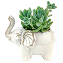 Happy Elephant Pot for sale, Cute Ceramic Succulent Pot, Fox Planter Decor, Craft Supplies, Succulent Gift Ideas, Happy Elephant Pot