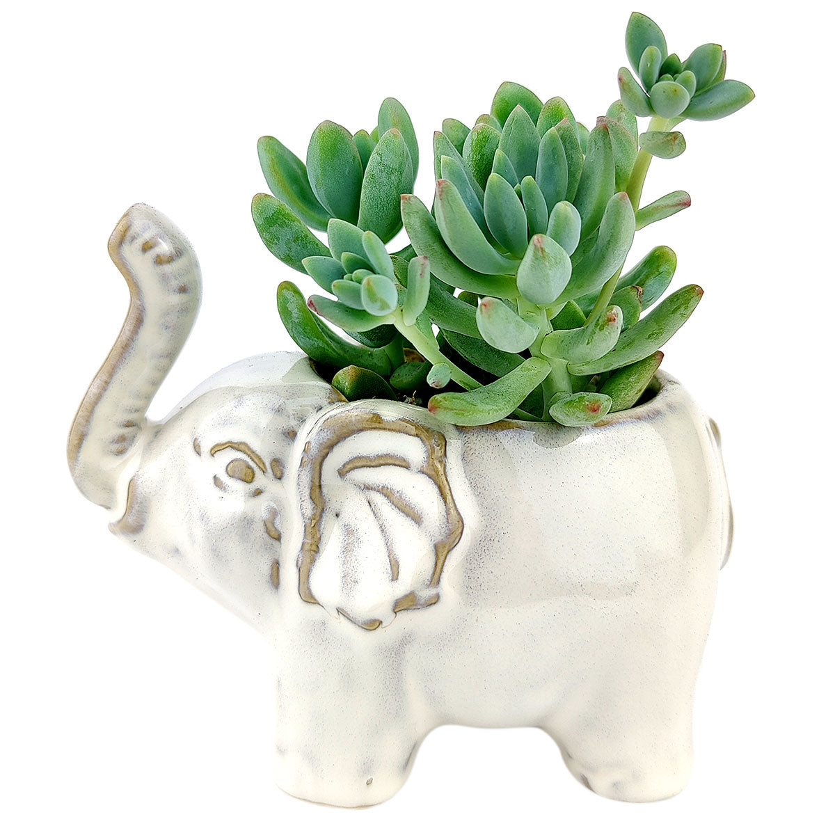 Happy Elephant Pot for sale, Cute Ceramic Succulent Pot, Fox Planter Decor, Craft Supplies, Succulent Gift Ideas, Happy Elephant Pot
