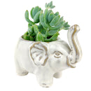 Happy Elephant Pot for sale, Cute Ceramic Succulent Pot, Fox Planter Decor, Craft Supplies, Succulent Gift Ideas, Happy Elephant Pot