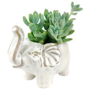 Happy Elephant Pot for sale, Cute Ceramic Succulent Pot, Fox Planter Decor, Craft Supplies, Succulent Gift Ideas, Happy Elephant Pot
