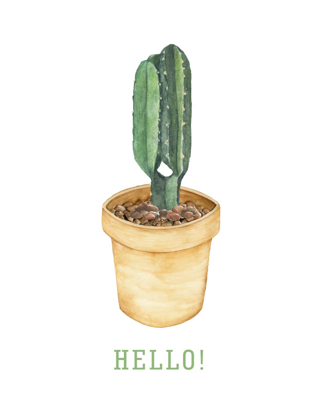 hello succulents Hello Card | Greeting Card | Succulents Card
