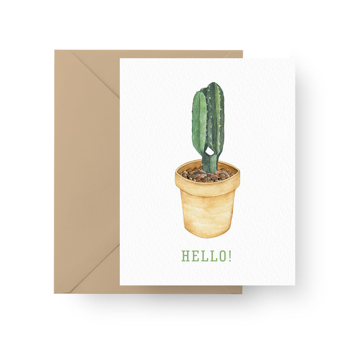 hello succulents Hello